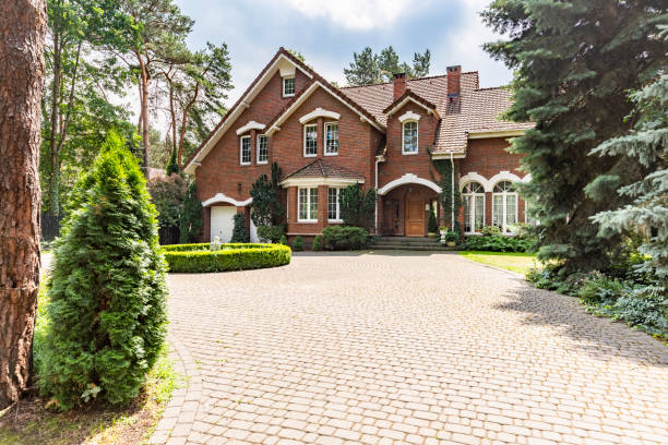 Best Driveway Paving Contractor  in Tyler, MN