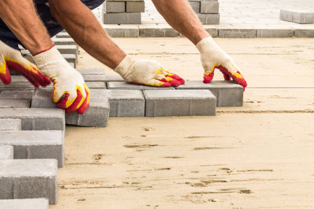 Best Driveway Pavers for Homes  in Tyler, MN