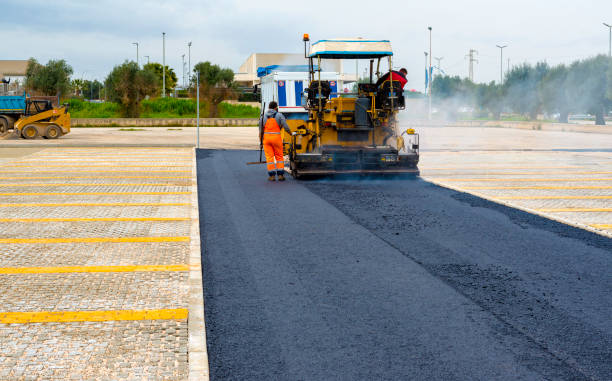Best Driveway Pavers Near Me  in Tyler, MN
