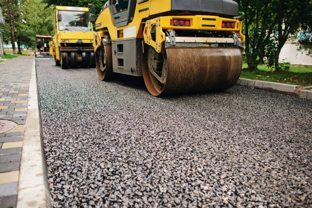 Best Local Driveway Pavers  in Tyler, MN